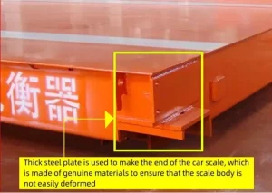 Analog vs. Digital Truck Scale: Which is Right for Your Business?