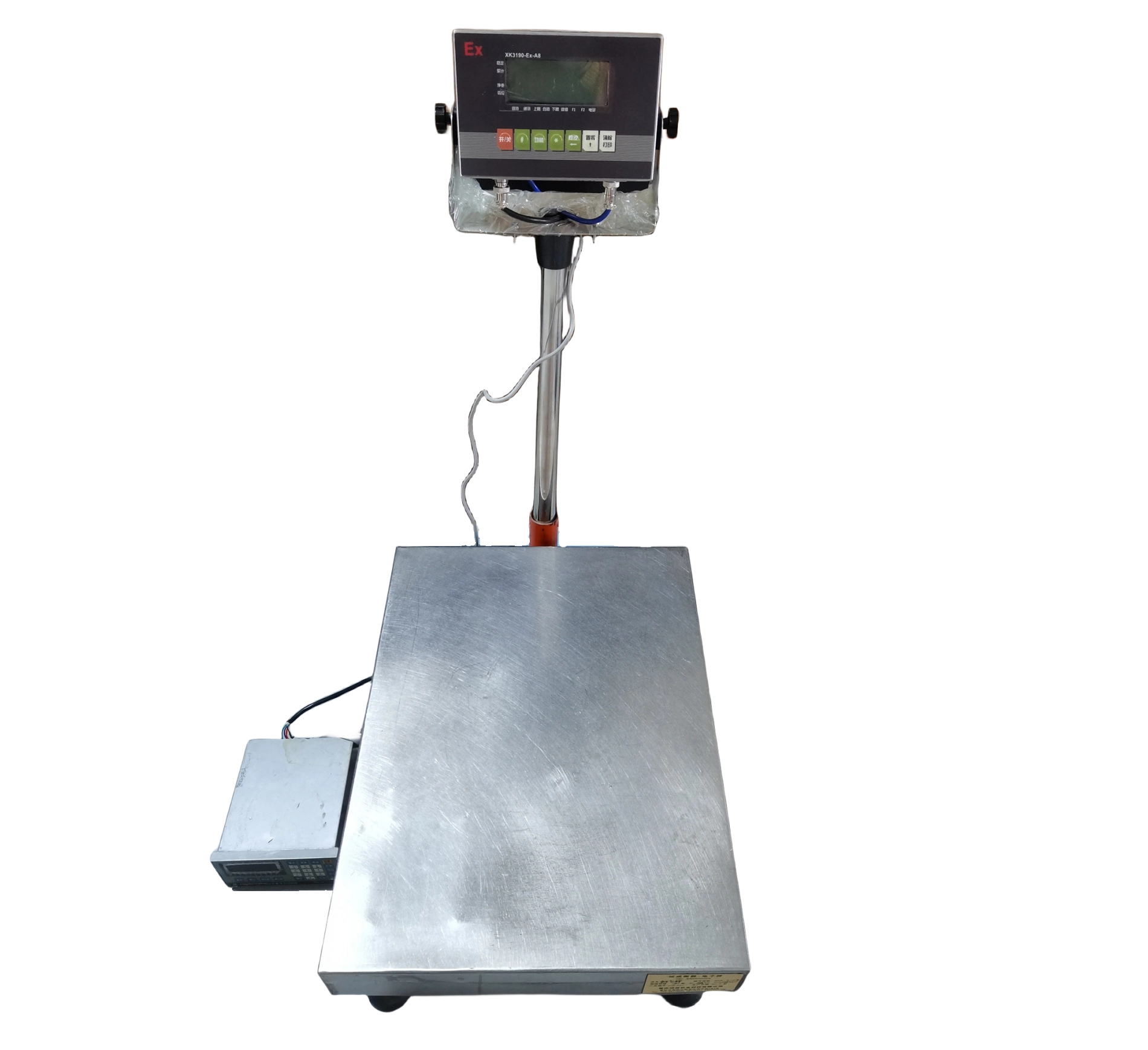 Explosion Proof Electronic Platform Scale1