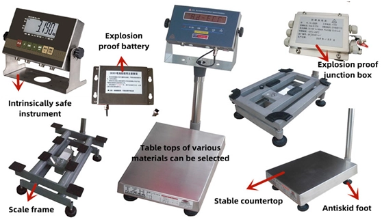 Explosion Proof Electronic Platform Scale2