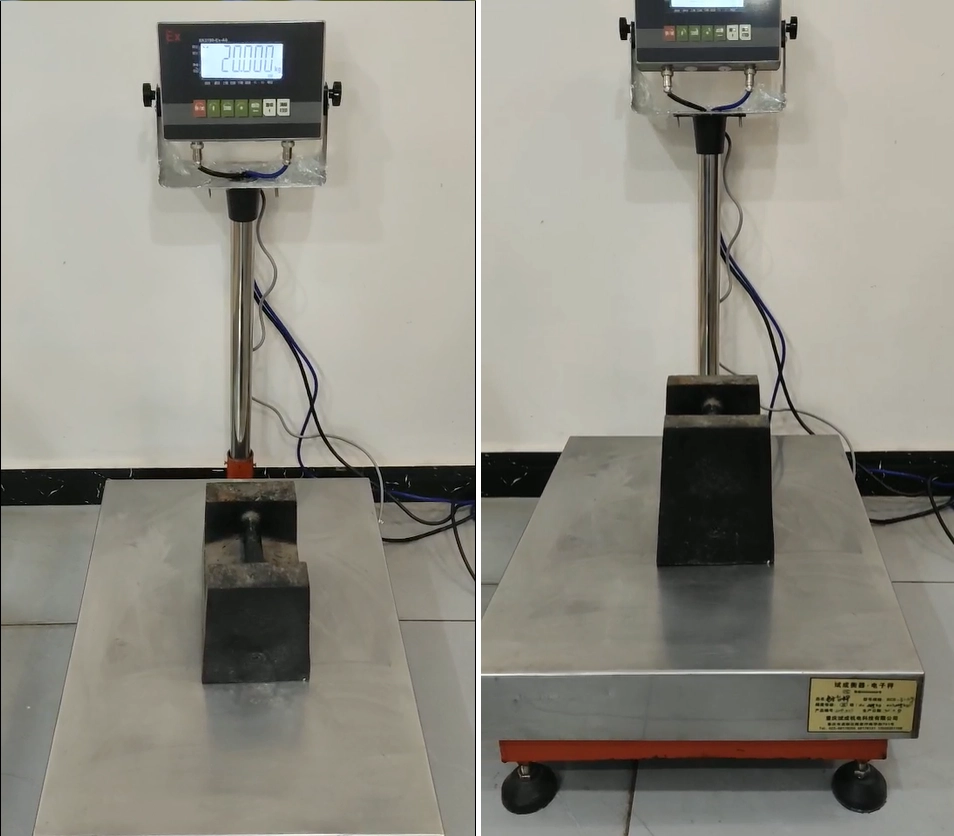 Explosion Proof Electronic Platform Scale3
