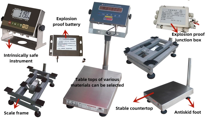 Explosion Proof Electronic Platform Scale8