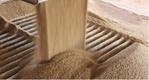 Grain Weighing: Why Does It Matter for You?